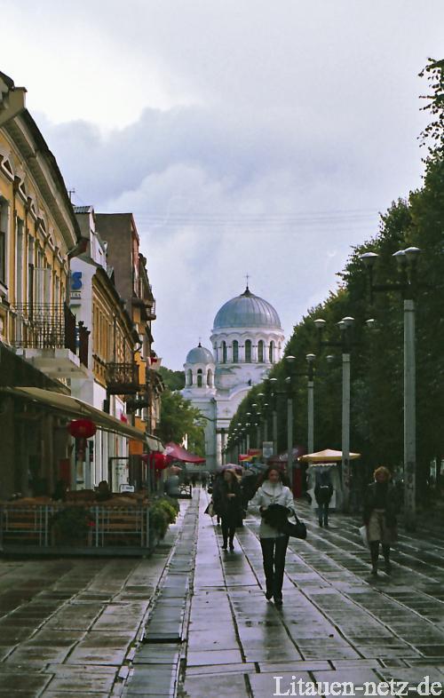 nach dem Regen